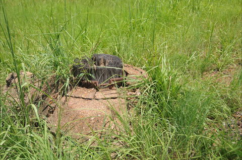 Brocks Creek Chinatown And Temple Site - Tourism Cairns 0