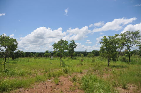 Brocks Creek Chinatown And Temple Site - Tourism Cairns 1