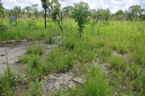 Brocks Creek Chinatown And Temple Site - Tourism Cairns 2