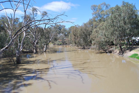 Bush Tucker Trail - Tourism Cairns 0