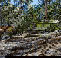 Couridjah Corridor Walk - Tourism Cairns