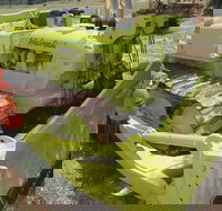 Dardanup Heritage Park - Tourism Cairns