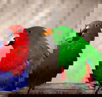 Denmark Dinosaur World - Tourism Cairns