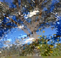 Euroa Arboretum - Tourism Cairns