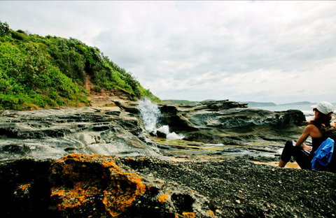 Glenrock State Conservation Area - Tourism Cairns 0