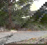 Great North Walk  Ku-ring-gai Chase National Park - Tourism Cairns