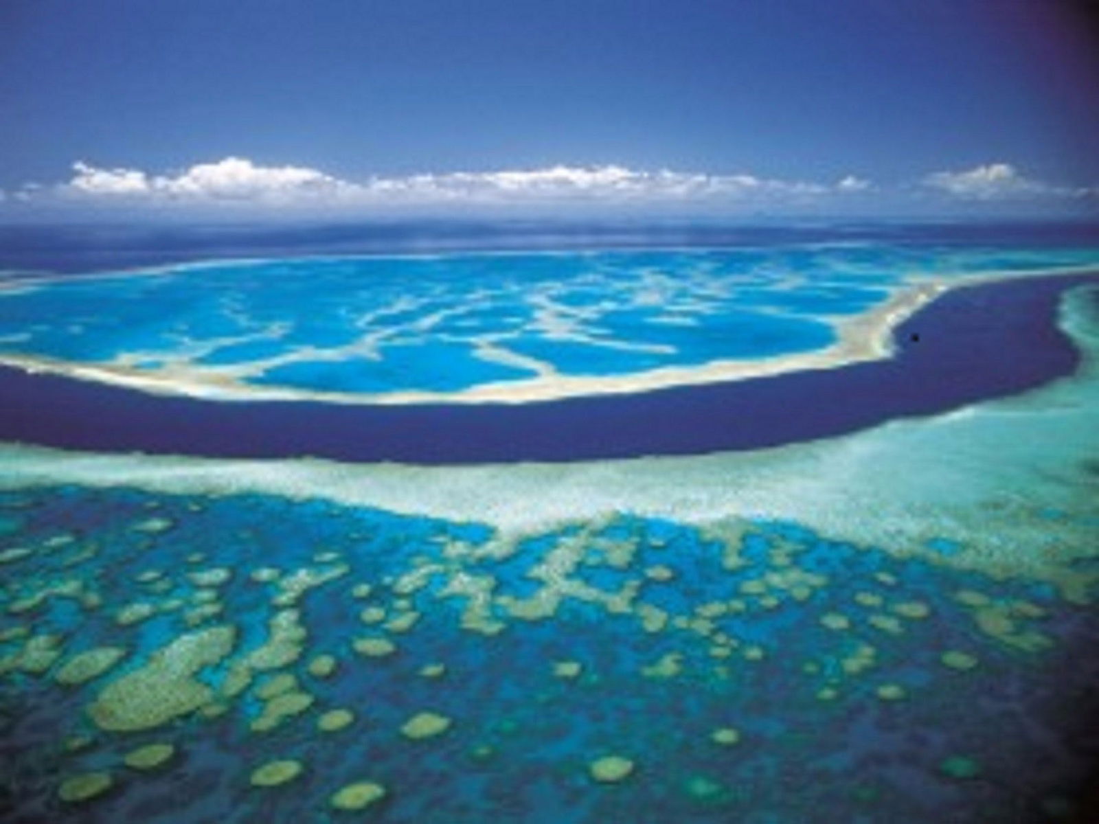  Tourism Cairns