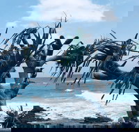 Hastings Point Beach - Tourism Cairns