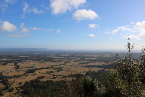 Heaton State Forest - Watagan Mountains - Tourism Cairns 0