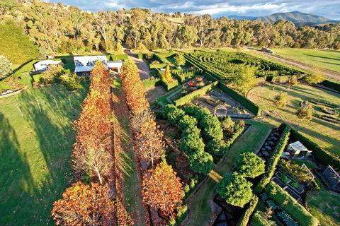 High Country Maze - Tourism Cairns 1