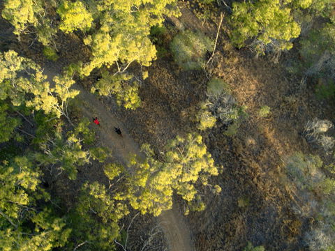 Hillview Drive Reserve - Tourism Cairns 2