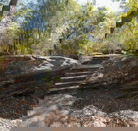 Mooney Mooney nature walk - Tourism Cairns