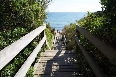 Mount Eliza - Tourism Cairns 1