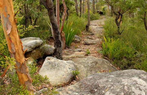 Mount Olive Trail - Tourism Cairns 0