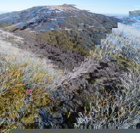 Mt Buller Bike Park - Tourism Cairns