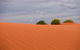Munga-Thirri - Simpson Desert Conservation Park And Regional Reserve - thumb 0