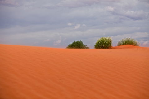 Munga-Thirri - Simpson Desert Conservation Park And Regional Reserve - Tourism Cairns 0