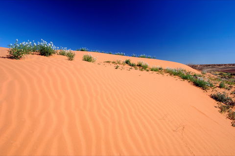 Munga-Thirri - Simpson Desert Conservation Park And Regional Reserve - Tourism Cairns 1