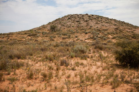 Munga-Thirri - Simpson Desert Conservation Park And Regional Reserve - Tourism Cairns 2