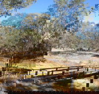 Norman Tracker Walford Walkway - Tourism Cairns