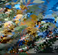 Norseman - Tourism Cairns