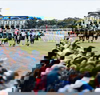 Oakbank - Tourism Cairns