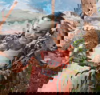 Oakvale Wildlife Park - Tourism Cairns