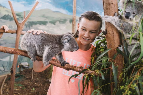 Oakvale Wildlife Park - Tourism Cairns 0
