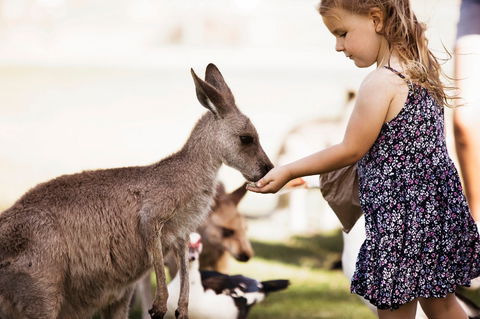 Oakvale Wildlife Park - Tourism Cairns 1