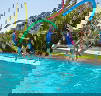 Oaklands War Memorial Swimming Pool - Tourism Cairns