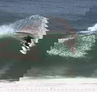 Old Bar - Tourism Cairns