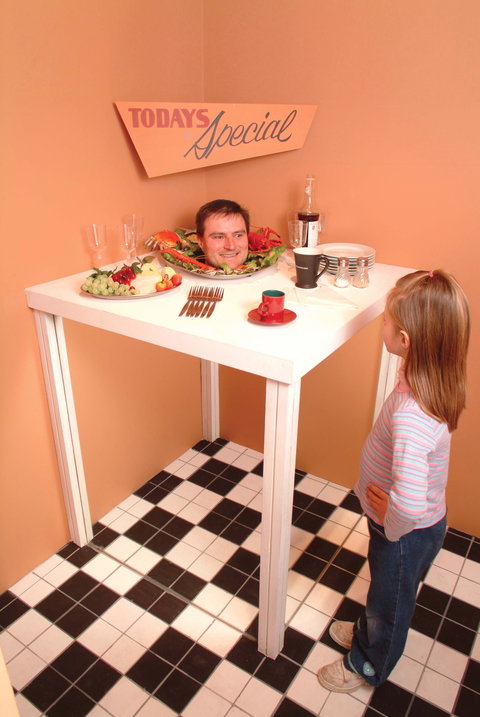 Phillip Island Experience - Tourism Cairns 0