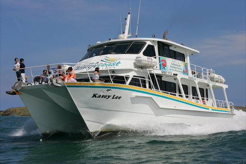 Phillip Island Experience - Tourism Cairns 2