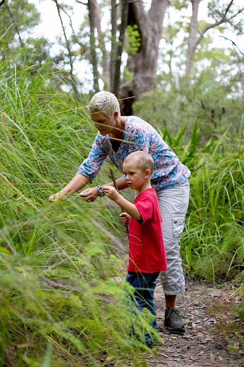 Strickland State Forest - Tourism Cairns 2