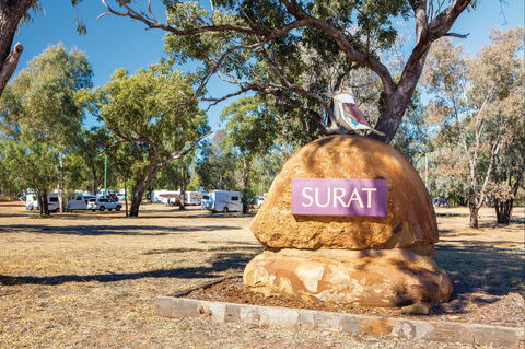Surat - Tourism Cairns 0
