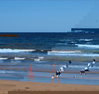 Surf Beach Batemans Bay - Tourism Cairns