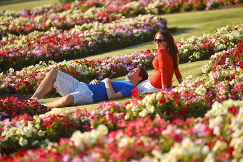 Victoria State Rose Garden At Werribee Park - Tourism Cairns 1