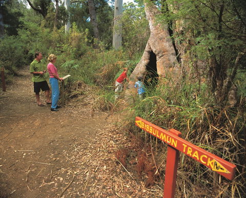 Walpole-Nornalup National Park - Tourism Cairns 1