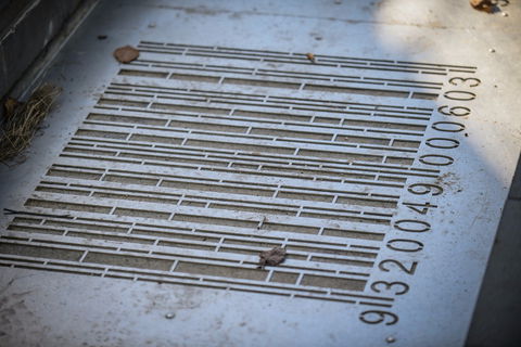 Waterfront Art Trail - Tourism Cairns 1