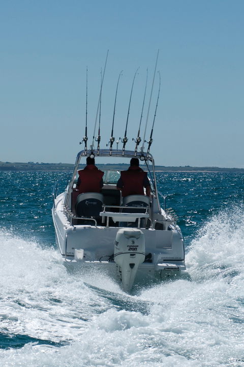 Western Port - Tourism Cairns 1