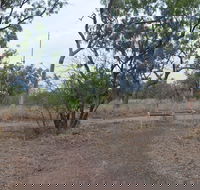 Alexander Forest Memorial - Tourism Cairns