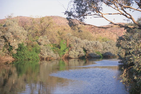 Alligator / Crocodile Hole - Tourism Cairns 0