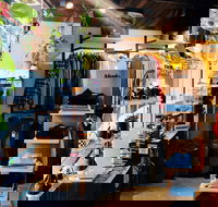 Anchor Chief - Tourism Cairns