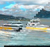 Apex Camps Magnetic Island Group Accommodation Activities and Events - Tourism Cairns