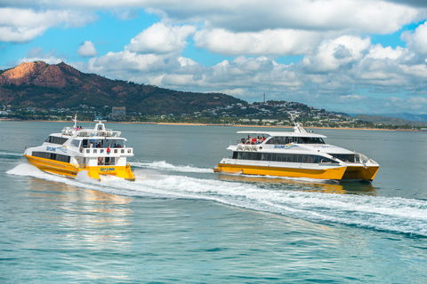 Apex Camps Magnetic Island Group Accommodation, Activities And Events - Tourism Cairns 0