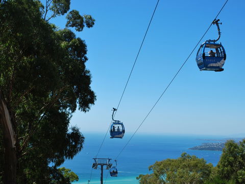 Arthurs Seat Eagle - Tourism Cairns 0