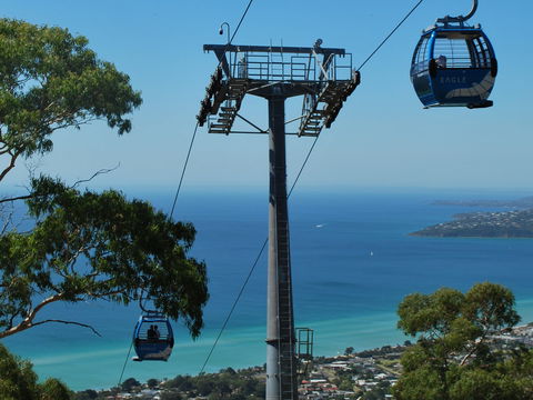 Arthurs Seat Eagle - Tourism Cairns 2