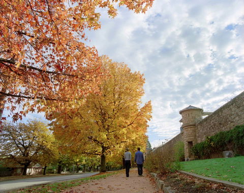 Beechworth - Tourism Cairns 1