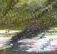 Berry Springs - Tourism Cairns