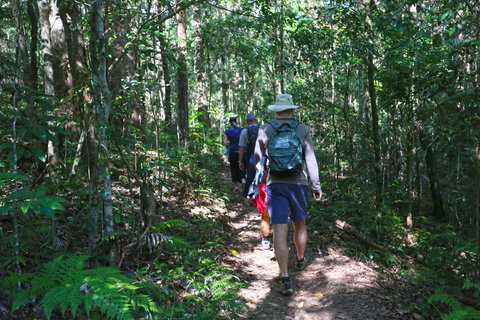 Booloumba Falls Walk, Conondale National Park - Tourism Cairns 1